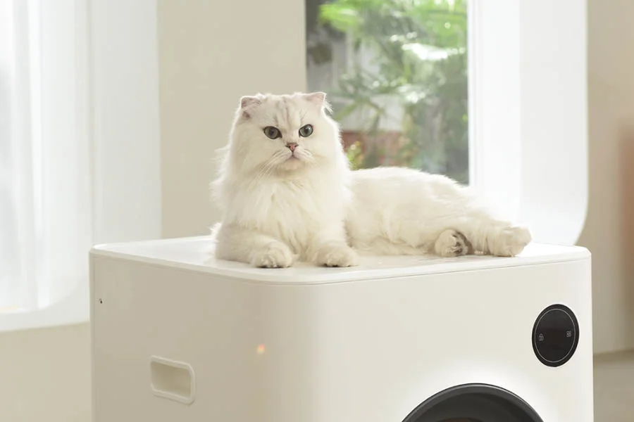 electronic cat litter