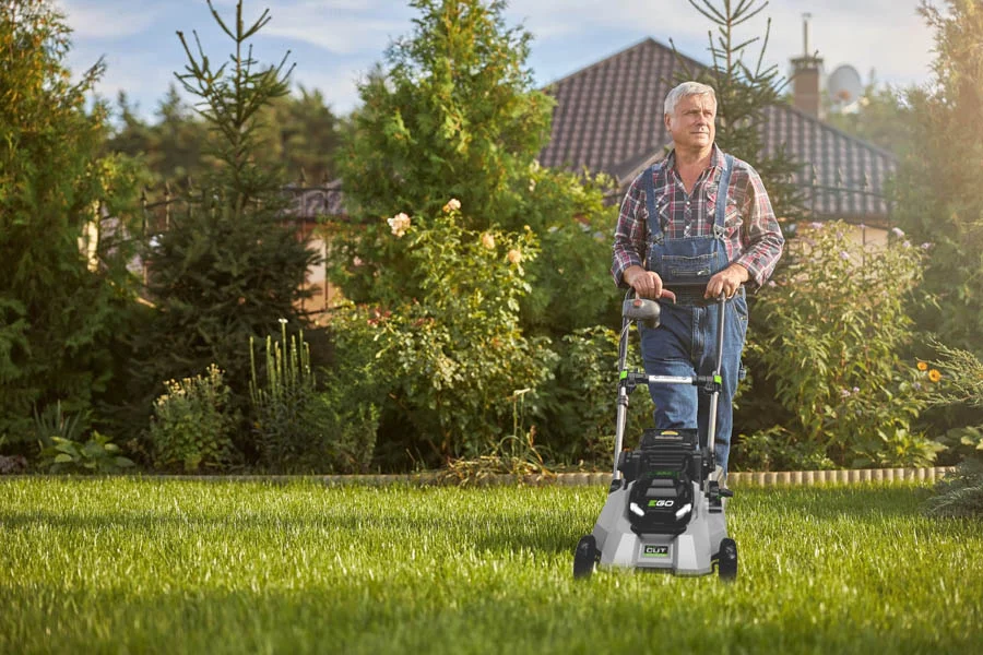 compact lawn mower