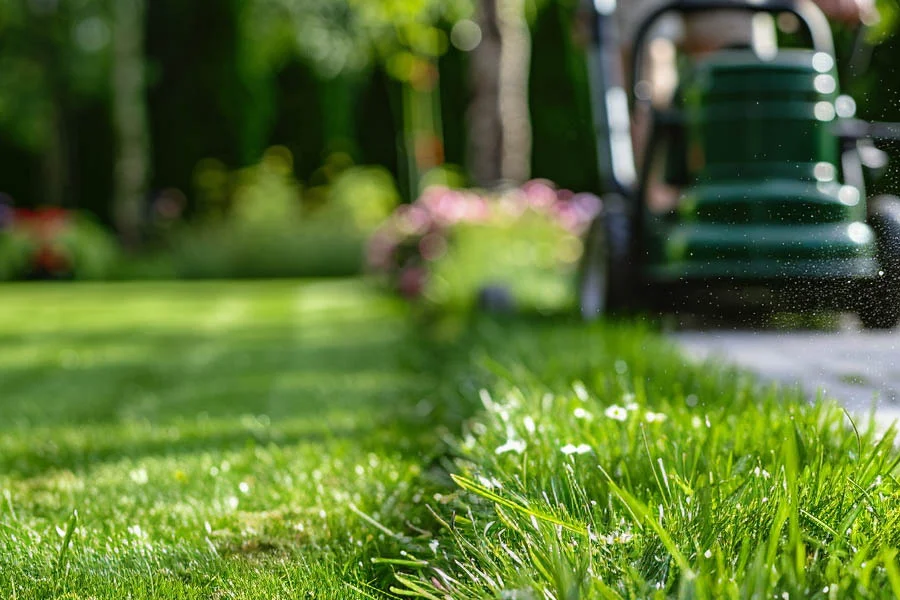 walk behind electric mower