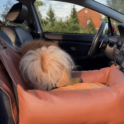 Eco Leather Dog Car Seat (2)